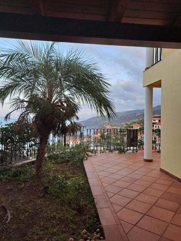 Апартаменти Sea View House Рібейра-Брава Екстер'єр фото